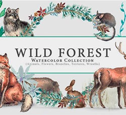 97张高清透明的北欧风水彩野生动物/花卉/花环PNG图片：Wild Forest Watercolor Colle